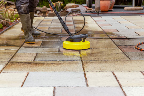 Animal Enclosure Cleaning in Cross Plains, WI
